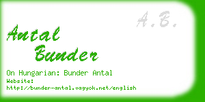 antal bunder business card